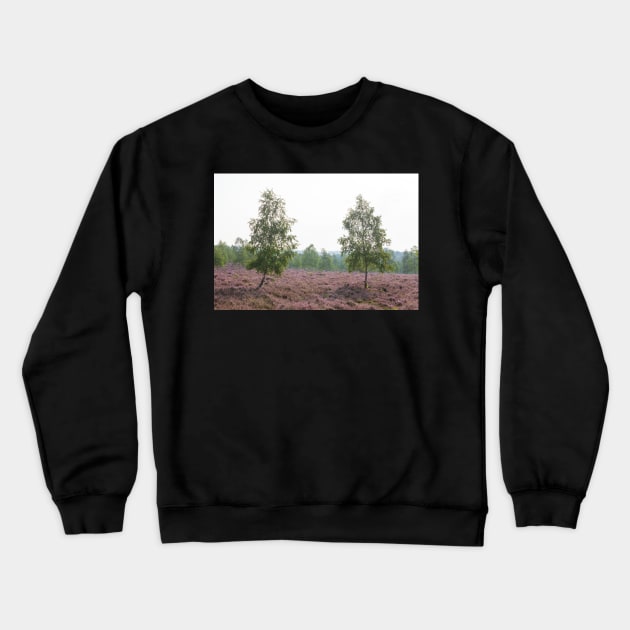 Heathland, morning mist, heather bloom, Niederhaverbeck Crewneck Sweatshirt by Kruegerfoto